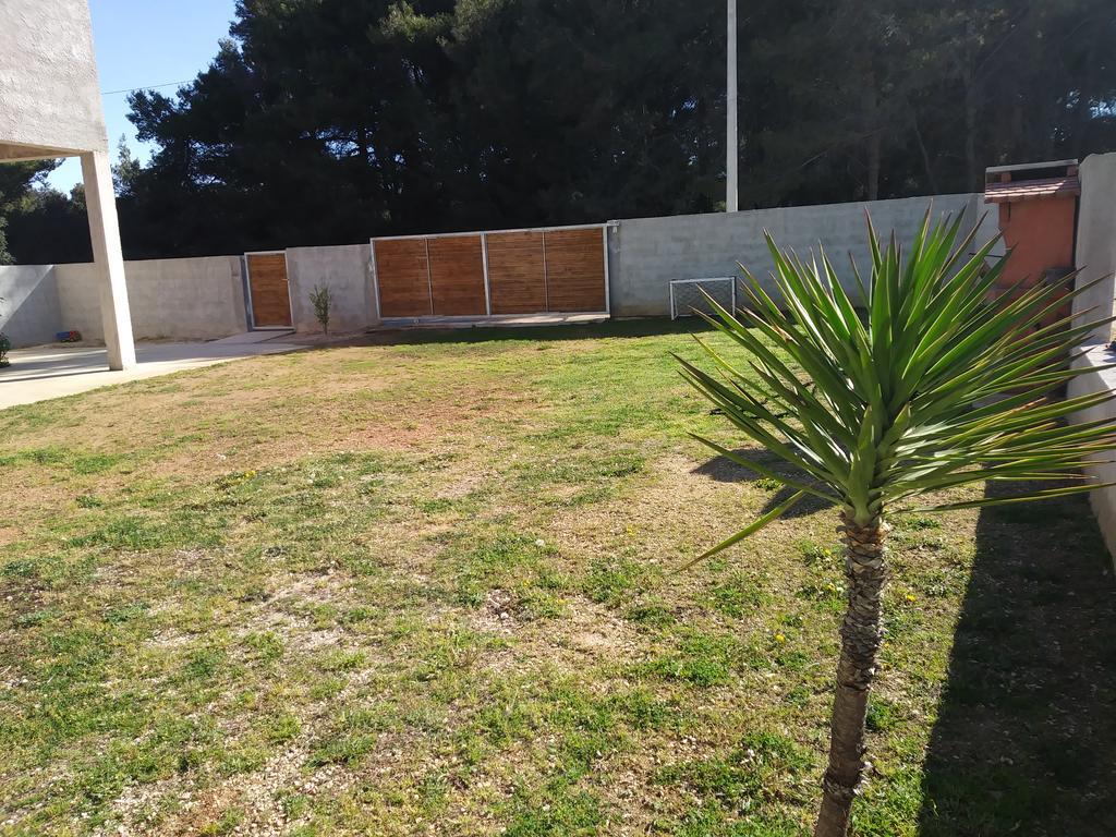 Apartman Toni Bibinje Exterior foto
